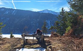 Haus Birke